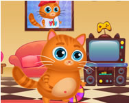 Garfield - Lovely virtual cat