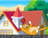 Garfield - Playful Kitty