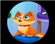 Garfield - My pet clinic